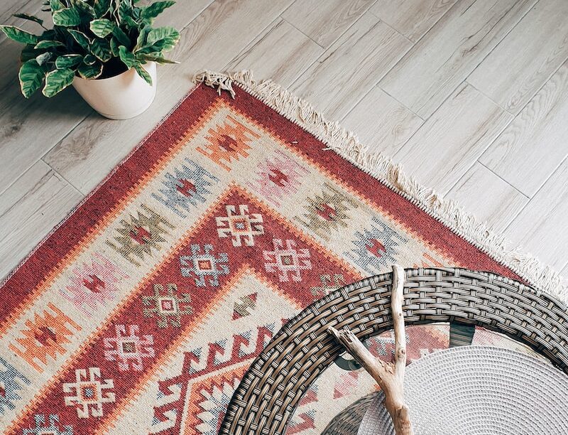 Green Plant On Red And White Area Rug