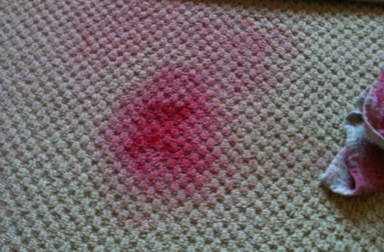 Top 10 Common Rug Stains and How to Remove Them